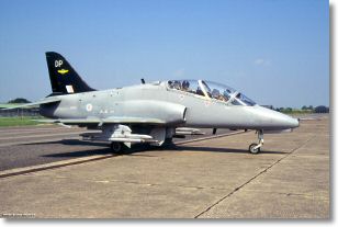 Hawk