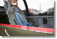 IMG_7467.JPG