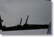 IMG_7547.JPG