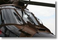 IMG_7928.JPG