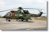 IMG_7974.JPG