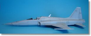 F5E_tigerII_17.jpg