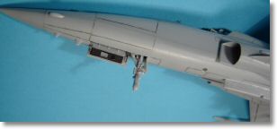 F5E_tigerII_18.jpg