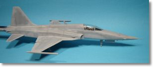 F5E_tigerII_25.jpg