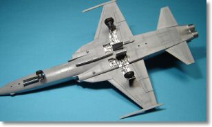 F5E_tigerII_29.jpg