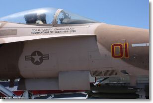 fa18_hornet_162901_agressor_010.JPG