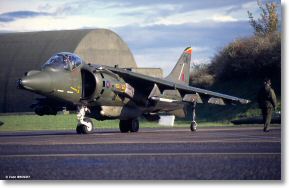 Scan_diapo_Harrier_0087.jpg