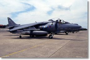 Scan_diapo_Harrier_0095.jpg