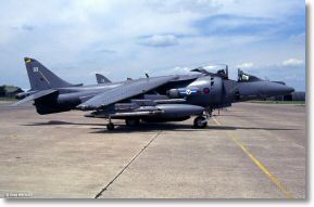 Scan_diapo_Harrier_0097.jpg