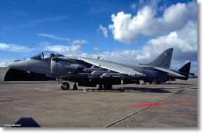 Scan_diapo_Harrier_0102.jpg