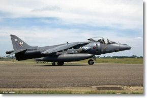 Scan_diapo_Harrier_0121.jpg