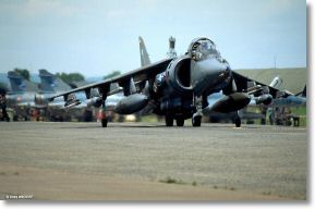 Scan_diapo_Harrier_0125.jpg