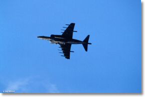 Scan_diapo_Harrier_0132.jpg