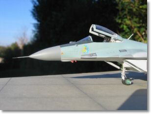 MiG-2903.jpg