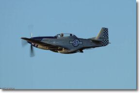IMG_0529.jpg