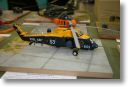 IMG_7262.JPG