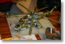 IMG_7282.JPG