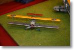 IMG_7794.JPG