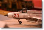IMG_7922.JPG