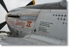P51D_mustang_03.JPG