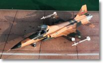 F5_IAF-3.jpg