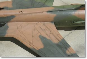 IMG_5784_redimensionner.JPG